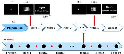 P3-MSDA: Multi-Source Domain Adaptation Network for Dynamic Visual Target Detection